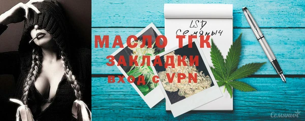 дживик Володарск