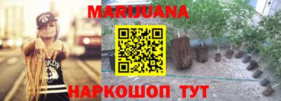 крисы Волжский