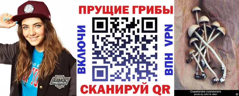 Псилоцибиновые грибы прущие грибы Мариинск