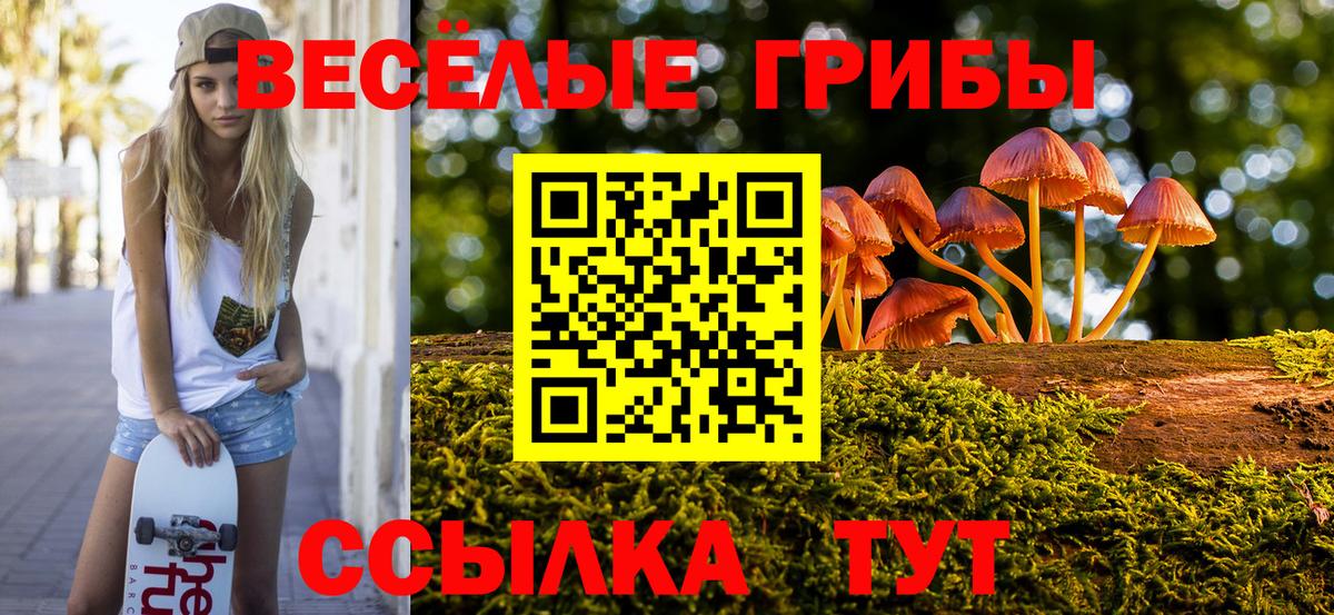 Псилоцибиновые грибы прущие грибы Мариинск
