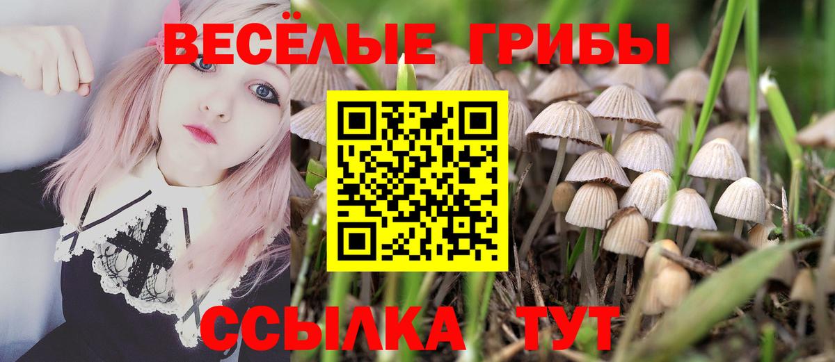 Мариинск  Галлюциногенные грибы прущие грибы  купить наркотики сайты  Вход с VPN  Псилоцибиновые грибы Cubensis 